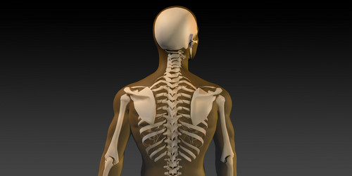 Similar image 11849497