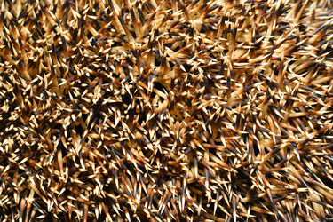 Similar image 11864989