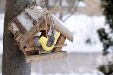 Similar image 11864972