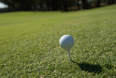 Similar image 11846663