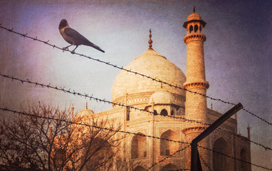 Similar image 11842088