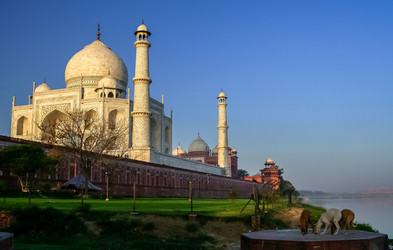 Similar image 11842128