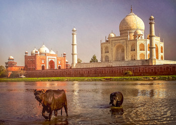 Similar image 11842131