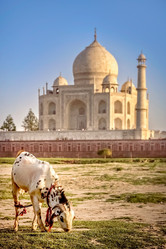 Similar image 11842132