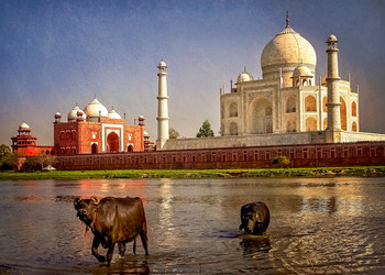 Similar image 11842133