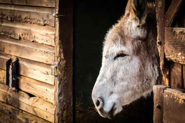 Similar image 11843249