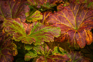 Similar image 11843329