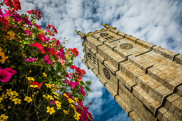 Similar image 11843330