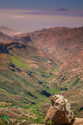 Similar image 11843356