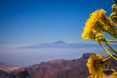 Similar image 11841979