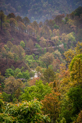 Similar image 11843260