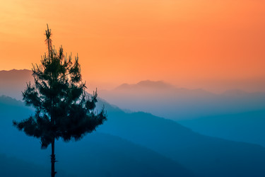 Similar image 11843263