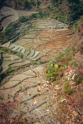 Similar image 11843317