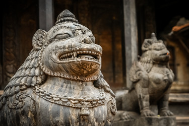 Similar image 11843321