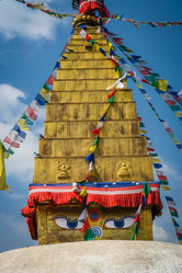 Similar image 11843345