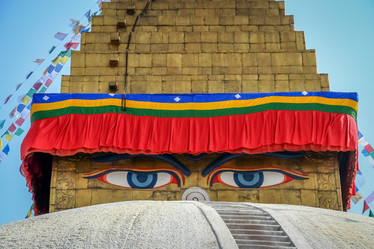 Similar image 11843359