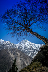 Similar image 11843374