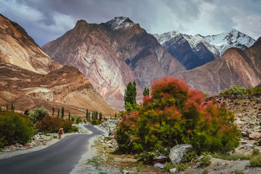 Similar image 11841934