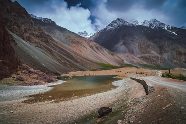 Similar image 11841961