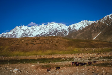 Similar image 11841963