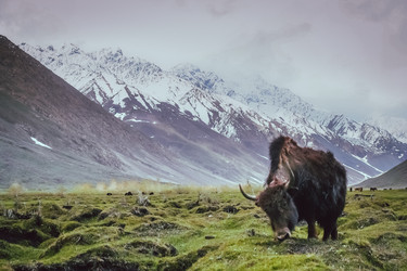 Similar image 11841984