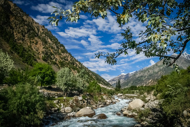 Similar image 11842023