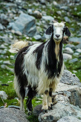 Similar image 11842039