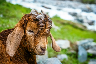 Similar image 11842040