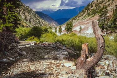 Similar image 11842042