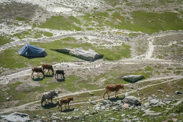 Similar image 11842083