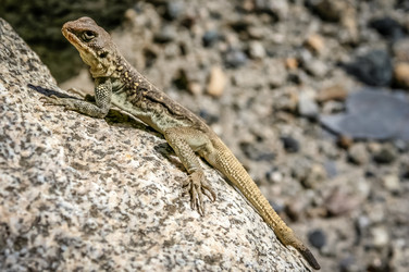 Similar image 11842197