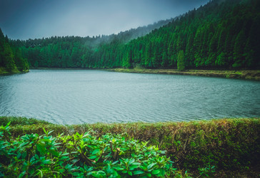 Similar image 11842126