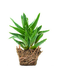 Similar image 11862346