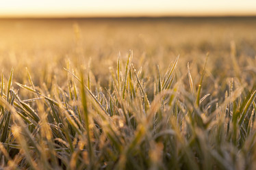 Similar image 11840742