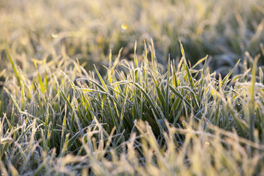 Similar image 11840761