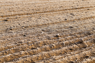 Similar image 11840734