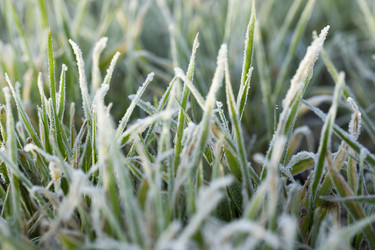 Similar image 11840738