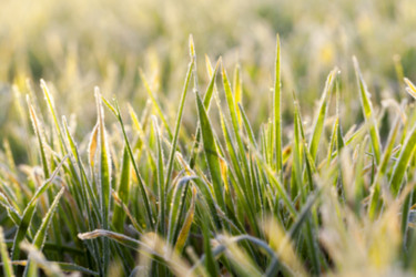 Similar image 11840750