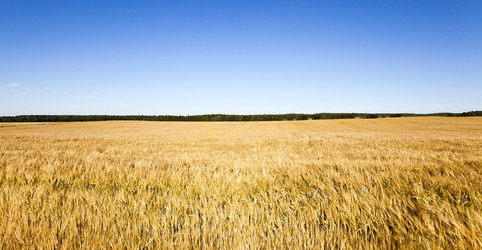 Similar image 11840751