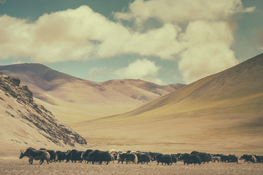 Similar image 11843267