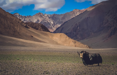 Similar image 11843286