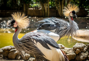 Similar image 11841945