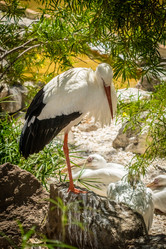 Similar image 11841947