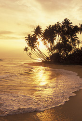 Similar image 11865771