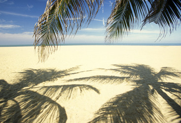 Similar image 11865774