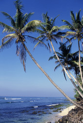 Similar image 11865776