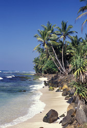 Similar image 11865777