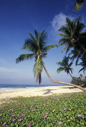 Similar image 11865779