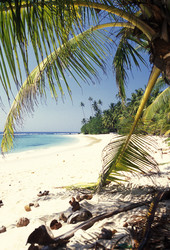 Similar image 11865780