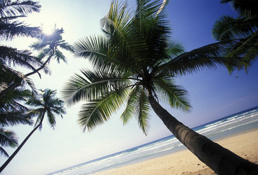 Similar image 11865781